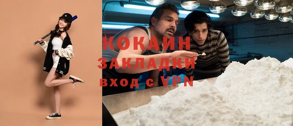кокс Ельня